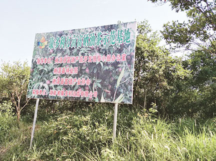 九洲国际·(集团)有限公司官网