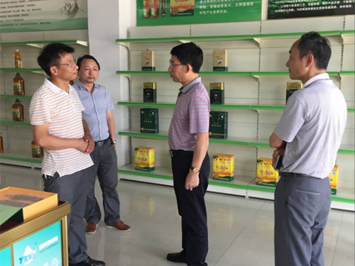 九洲国际,油茶莳植生产加工销售,植物油莳植生产加工销售