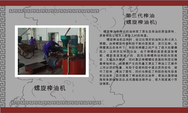 九洲国际,油茶莳植生产加工销售,植物油莳植生产加工销售