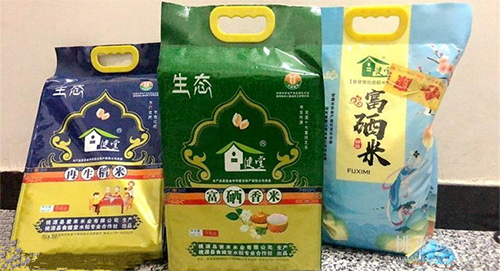 九洲国际,油茶莳植生产加工销售,植物油莳植生产加工销售