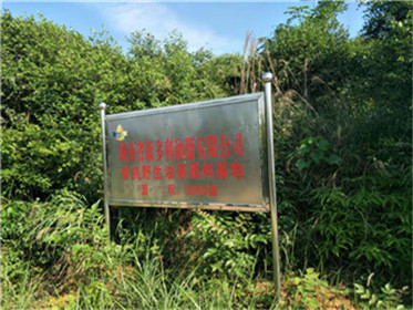 九洲国际,油茶莳植生产加工销售,植物油莳植生产加工销售