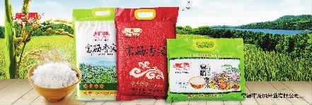 九洲国际,油茶莳植生产加工销售,植物油莳植生产加工销售