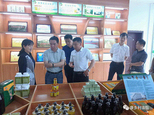 九洲国际,油茶莳植生产加工销售,植物油莳植生产加工销售