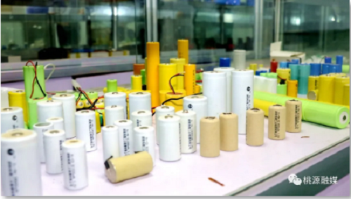 九洲国际,油茶莳植生产加工销售,植物油莳植生产加工销售