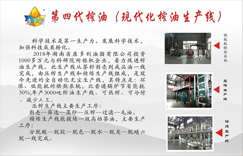 九洲国际,油茶莳植生产加工销售,植物油莳植生产加工销售